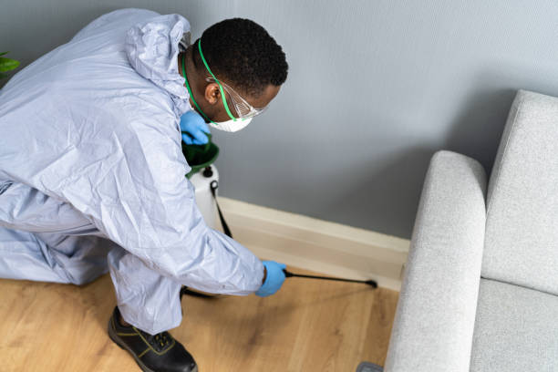 Best Real Estate Pest Inspections  in North Hills, NY